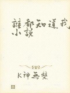 谁都知道我爱你小说