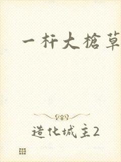 一杆大枪草全家