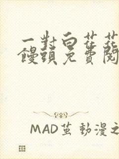 一对白花花的大馒头免费阅读封面