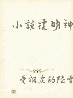 小说琼明神女录