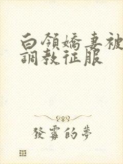 白领娇妻被老板调教征服