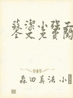 苏洁小强工地情全文免费阅读