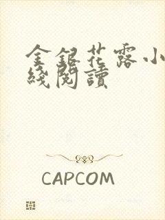 金银花露小说在线阅读