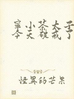 宁小茶太子殿下今天破戒了吗免费阅读封面