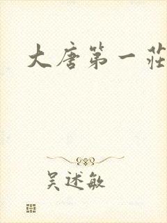 大唐第一庄