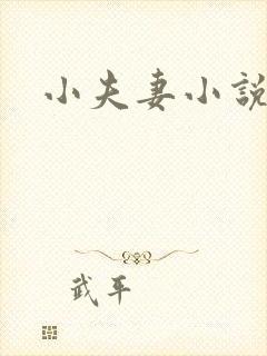 小夫妻小说