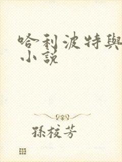 哈利波特与密室小说