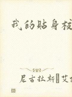 我的贴身校花