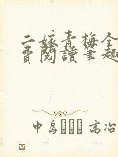 二嫁青梅全文免费阅读笔趣阁