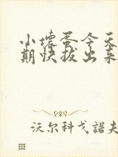 小坏蛋今天危险期快拔出来封面