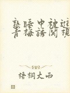 熟睡中被进了H青梅诱哄视频