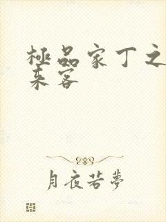 极品家丁之远方来客