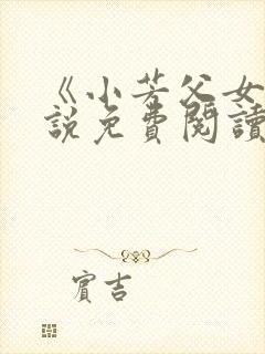 《小芳父女》小说免费阅读