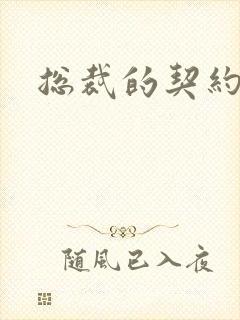 总裁的契约情人