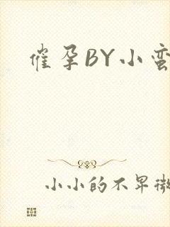 催孕BY小蛮腰