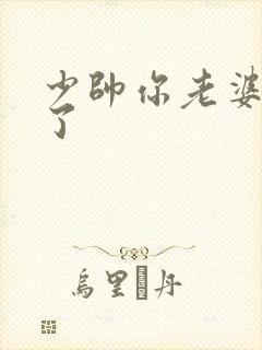 少帅你老婆又跑了