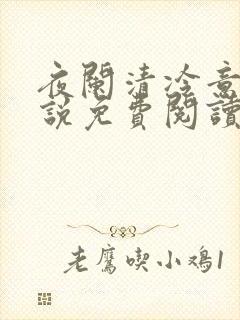 夜阑清冷意欢小说免费阅读