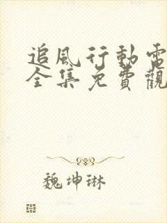 追风行动电视剧全集免费观看