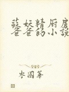 苏妖精厨房爹爹爸爸的小说