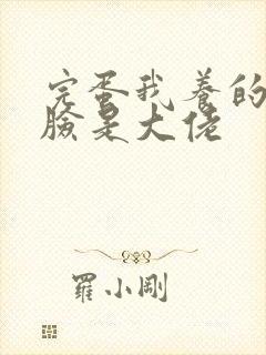 完蛋我养的小白脸是大佬