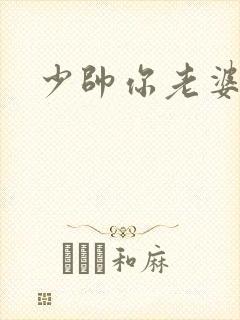 少帅你老婆