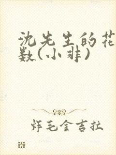 沈先生的花式调数(小非)