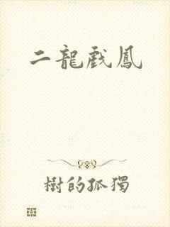二龙戏凤