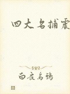 四大名捕震关东