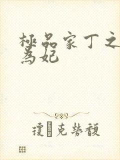 极品家丁之册母为妃