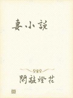 妻小说