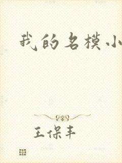 我的名模小娇妻