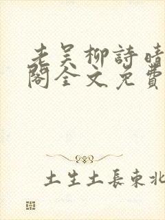 老吴柳诗晴笔趣阁全文免费阅读