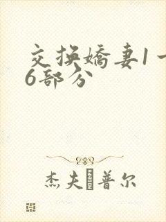 交换娇妻1一36部分