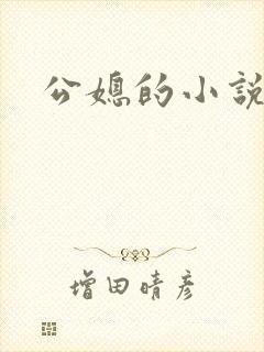 公媳的小说