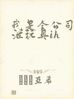 我是全公司的发泄玩具ih