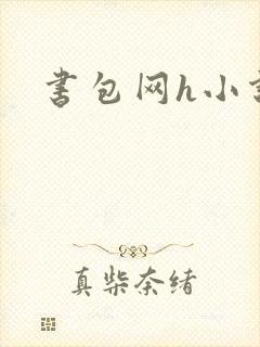 书包网h小说封面