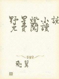 野星灯小说全文免费阅读