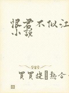 恨君不似江楼月小说