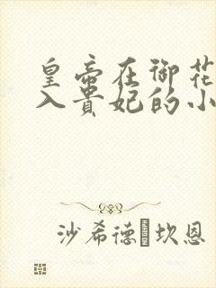 皇帝在御花园进入贵妃的小说