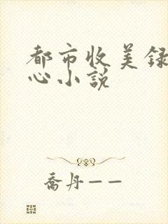 都市收美录宁素心小说