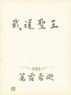 武道圣王