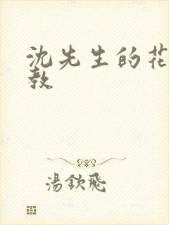 沈先生的花式管教