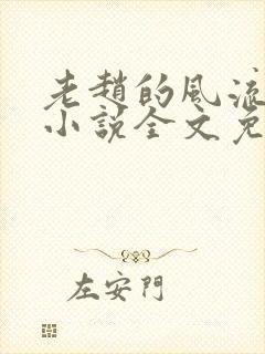 老赵的风流人生小说全文免费阅读