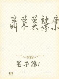 宁荣荣被唐三桶叫个不停小说