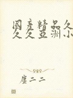 国产精品久久久久久亚洲小说