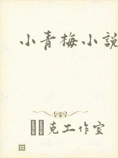 小青梅小说
