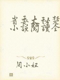 省委大秘楚东恒小说阅读全文