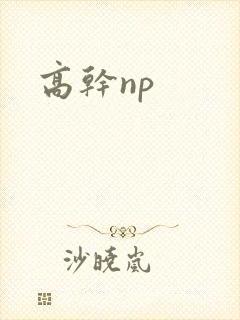 高干np