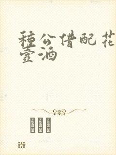 种公借配花间一壶酒