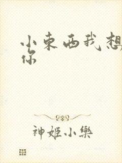 小东西我想弄坏你